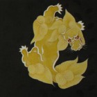 kimoyes