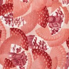 kimoyes