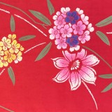 KimoYES product # 30394
