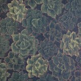 KimoYES product # 30924