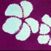 kimoyes