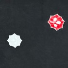 kimoyes